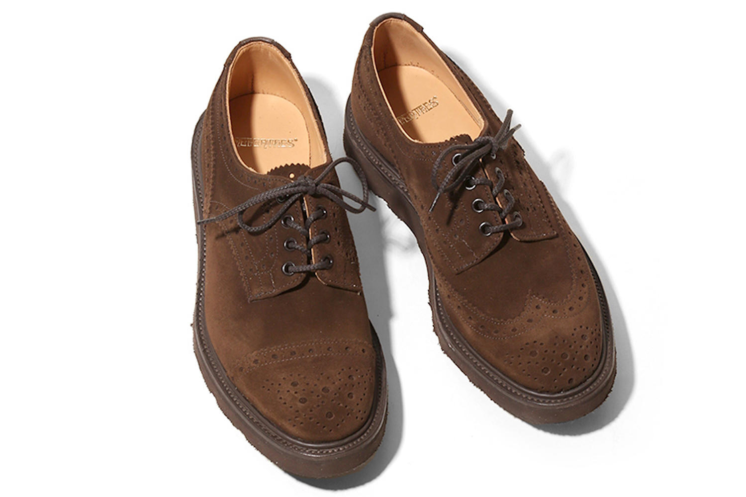 nepenthes × tricker's asymmetric Gibson-eastgate.mk